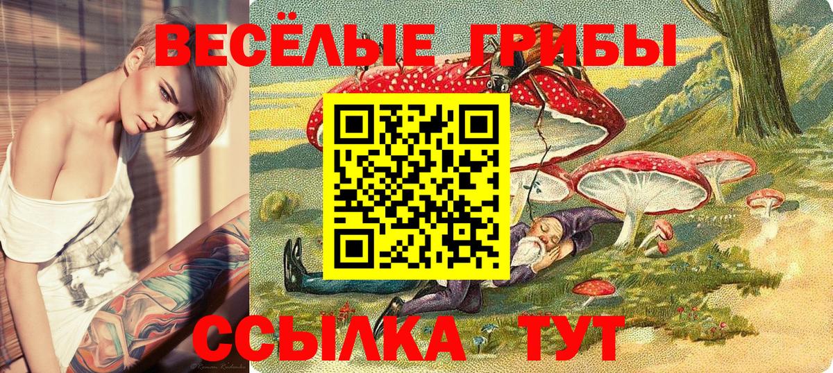 Галлюциногенные грибы Cubensis Назрань