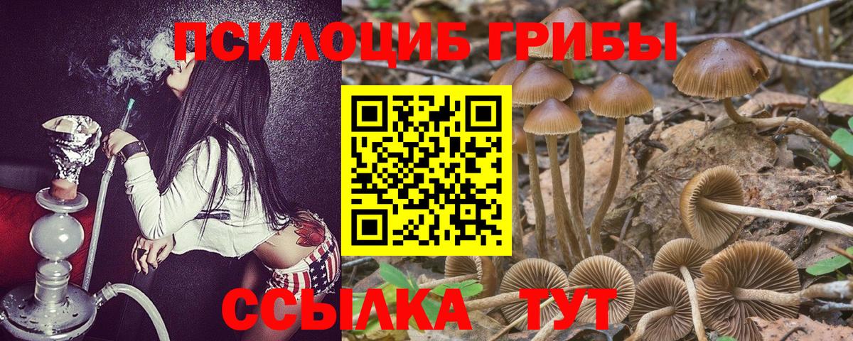 Псилоцибиновые грибы Назрань